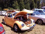 Beetle Show Rioz (53)